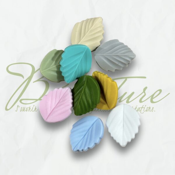 Petite feuilles